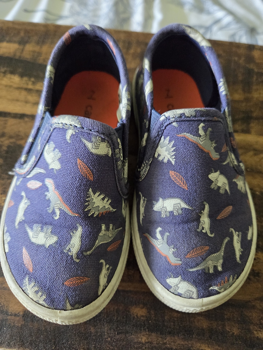 Kids Slip-On Canvas Shoes in Blue with Dinosaur Print